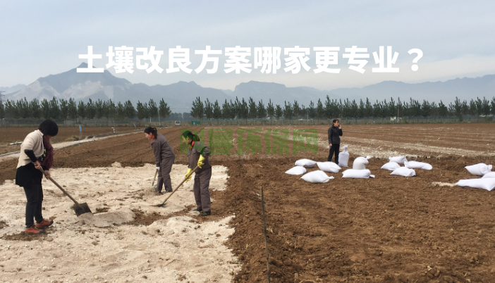 土壤改良方案哪家更專業？怎么比較？